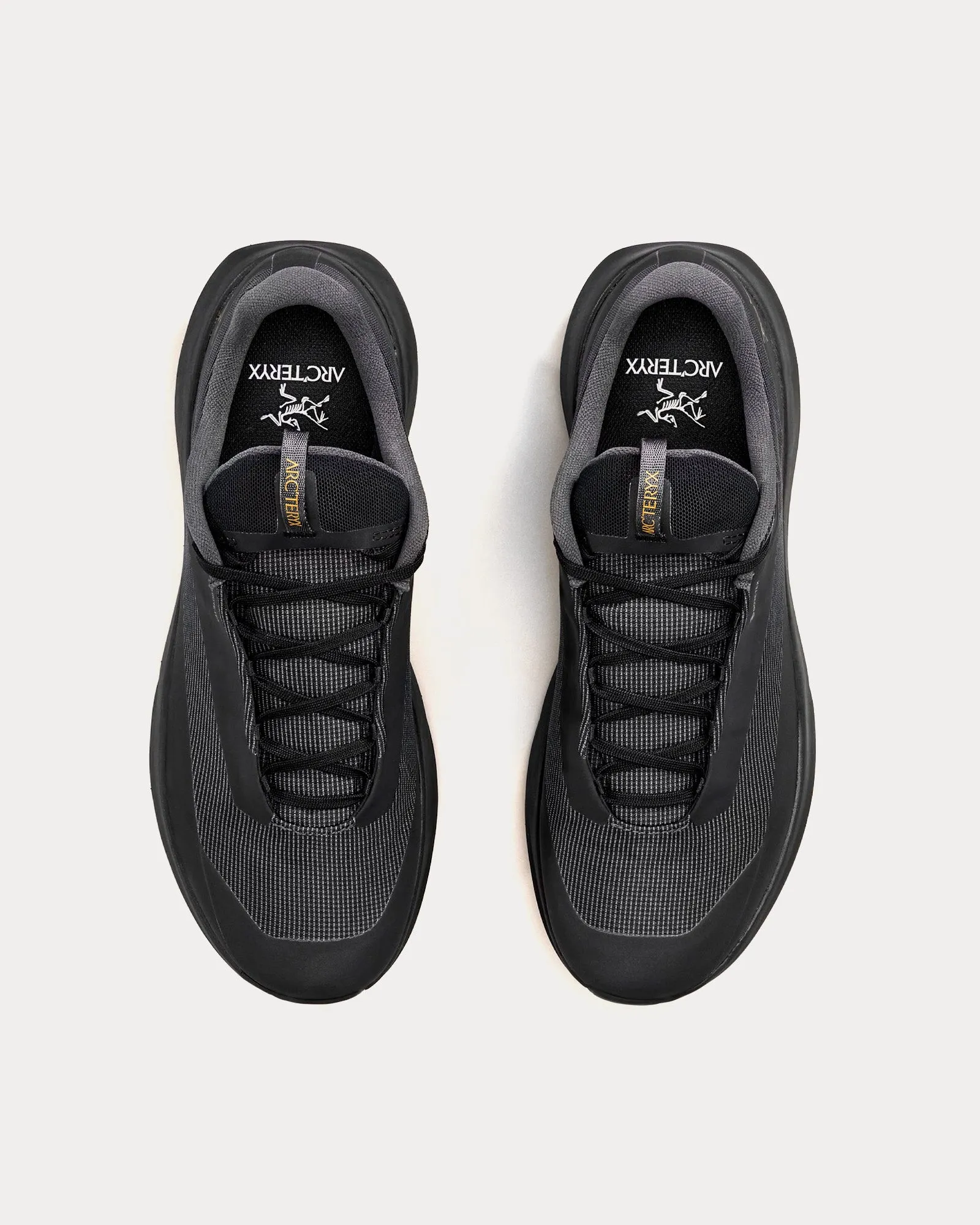 Norvan LD 4 GTX Black / Black Running Shoes