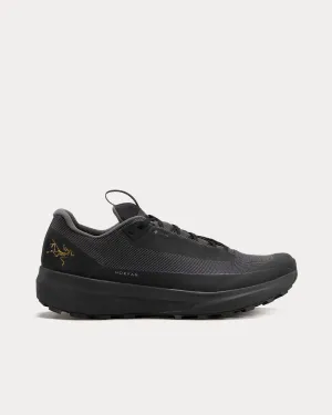 Norvan LD 4 GTX Black / Black Running Shoes