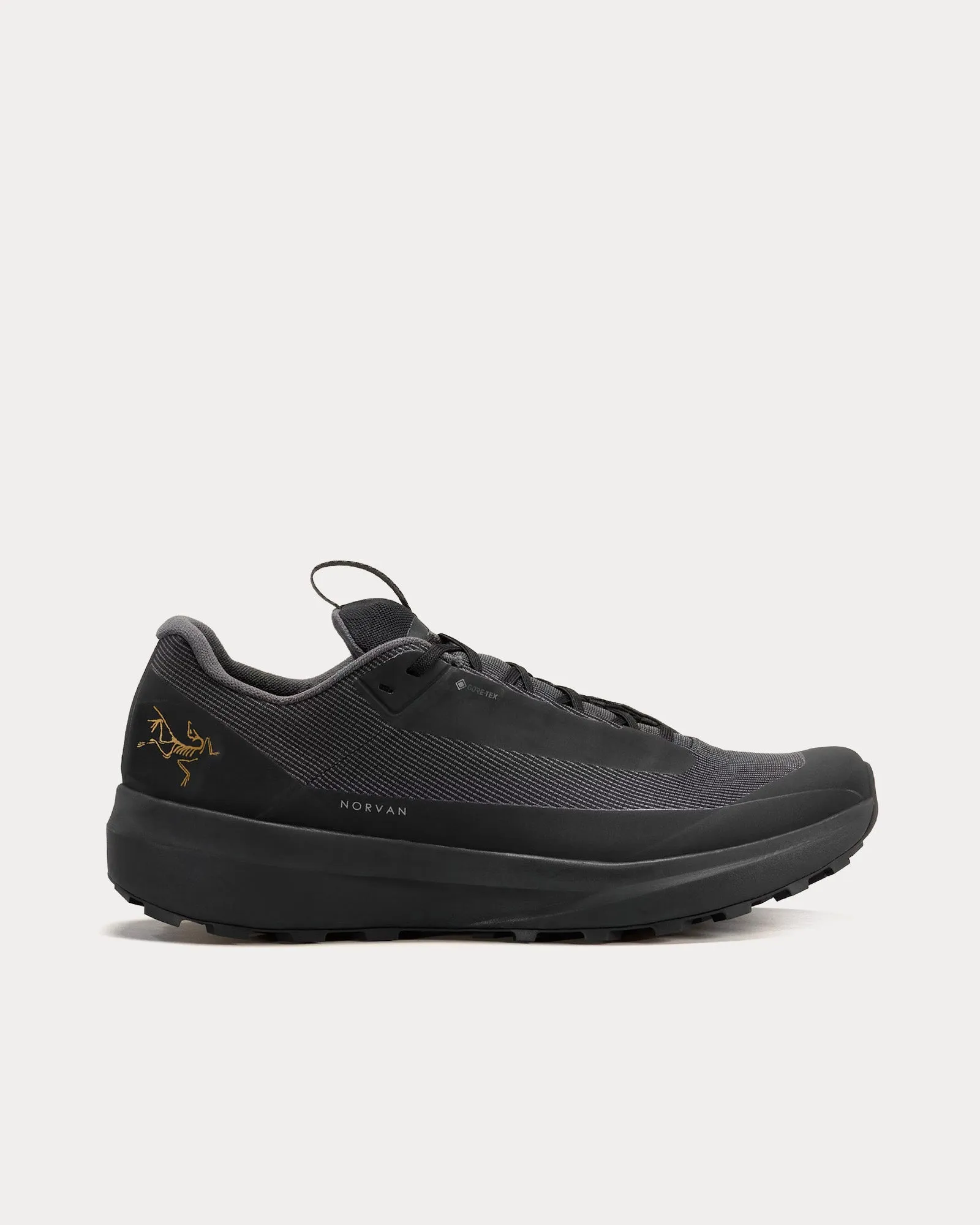 Norvan LD 4 GTX Black / Black Running Shoes