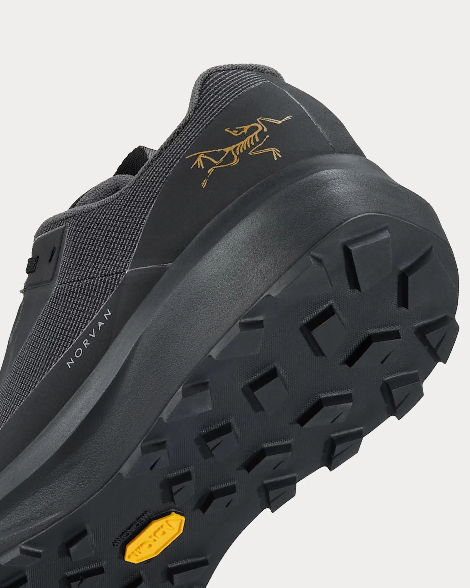 Norvan LD 4 GTX Black / Black Running Shoes